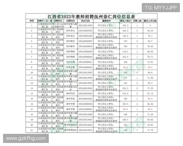 南京羽毛球队在城市联赛中的个人能力表现分析与点评